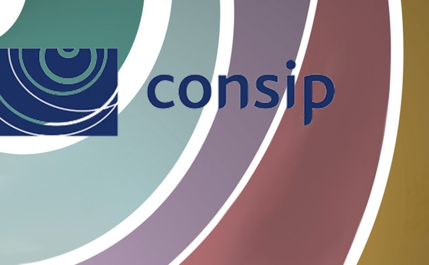 Consip: A Communication and Service Platform for Public Procurement